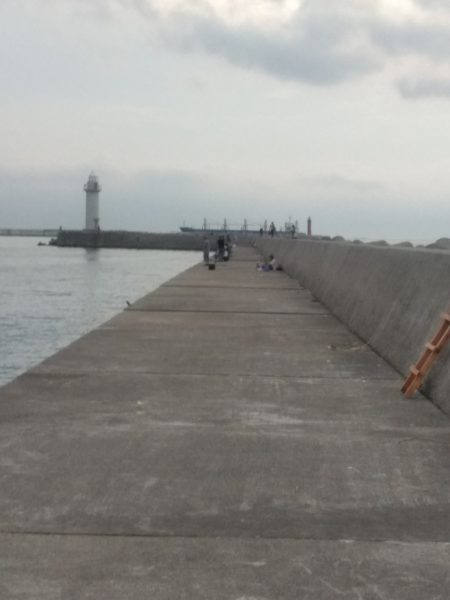 今年も太刀魚へ・・